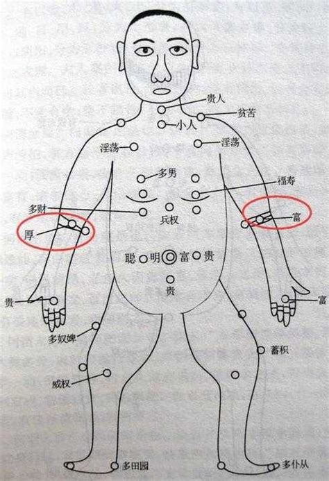 左手肘有痣|痣的位置透露出這些訊息！上手臂有痣不乏追求者、手。